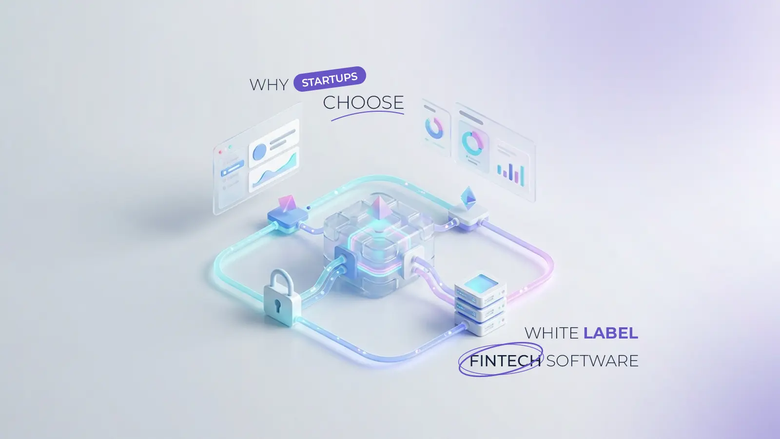 Why Startups Choose White Label FinTech Software